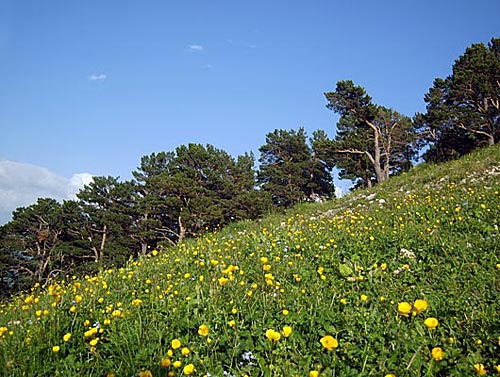 Дагестан. Фото "Кавказского Узла"