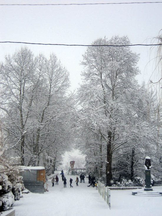 Парк им.Нельсона Степаняна.