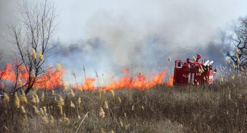 Ландшафтный пожар. Фото Вячеслава Ященко для "Кавказского узла"