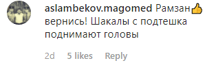 Скриншот комментария к публикации об отсутствии Кадырова на публике, https://www.instagram.com/p/B7dF366lqeA/