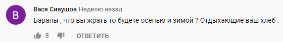 Скриншот комментария к видео "Курорты на карантине: в Краснодарском крае заварили и перекопали выходы к рекам и морю" https://youtu.be/rC81HuuSbXo