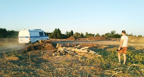 Вырубленное дерево в Волго-Ахтубинской пойме. Фото Михаила Соломонова для "Кавказского узла"