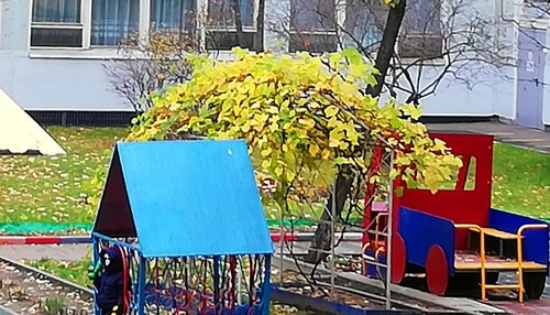 Территория детского сада. Фото Нины Тумановой для "Кавазского узла"