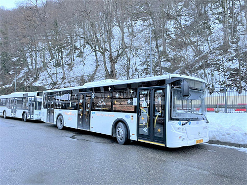 Городские автобусы в Сочи. Фото пресс-службы мэрии. https://sochi.ru/press-sluzhba/novosti/11/170292/