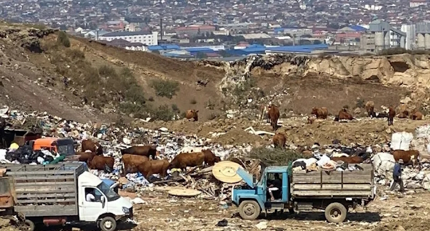 Свалка в пригороде Махачкалы, фото: https://t.me/dagestan_24/16413