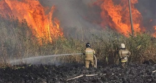 Лесной пожар в Ростовской области. 30 сентября 2024 года. Фото: ГУ МЧС России по Ростовской области