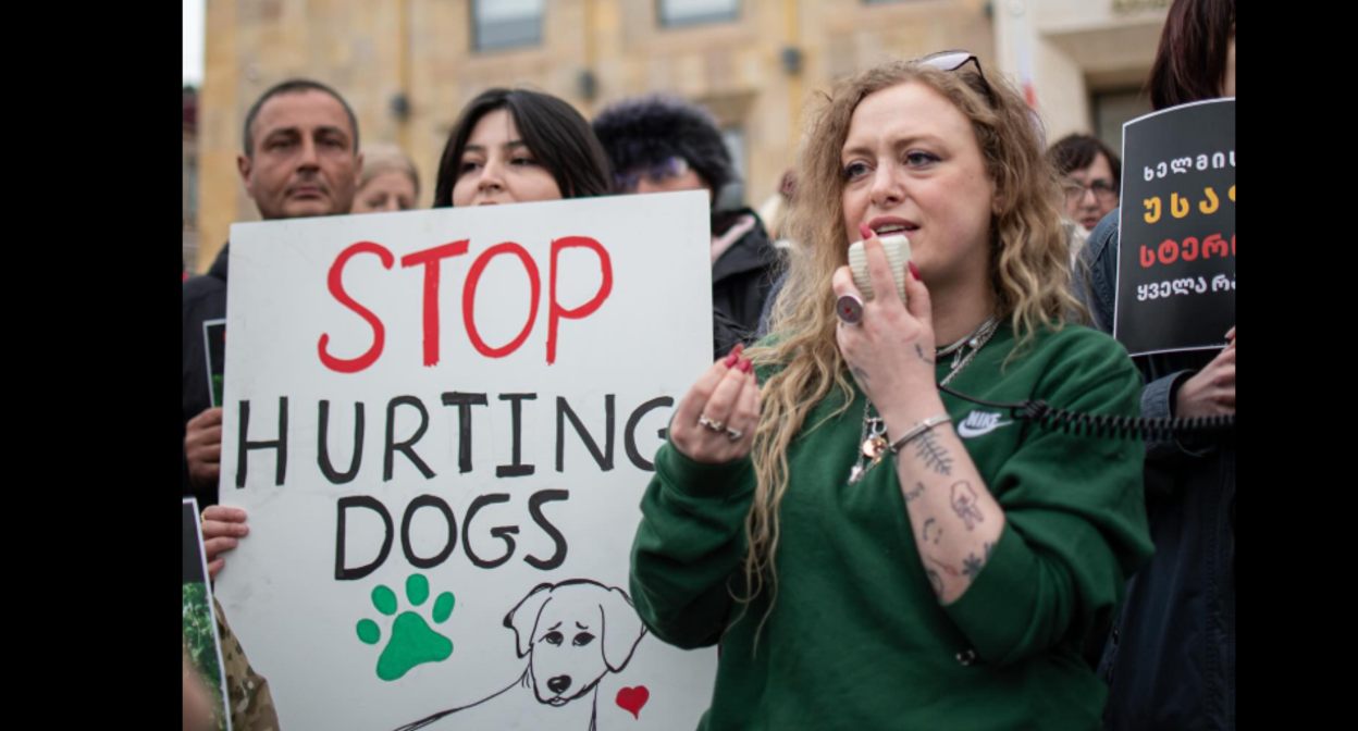 Акция протеста в Тбилиси. Скриншот фото Publika от 04.03.26, https://www.facebook.com/photo/?fbid=1723744409025102&set=pb.100041686795244.-2207520000 (деятельность компании Meta, владеющей соцсетью, запрещена в России) Акция протеста в Тбилиси. Скриншот фото Publika от 04.03.26, https://www.facebook.com/photo/?fbid=1723744409025102&set=pb.100041686795244.-2207520000 (деятельность компании Meta, владеющей соцсетью, запрещена в России)