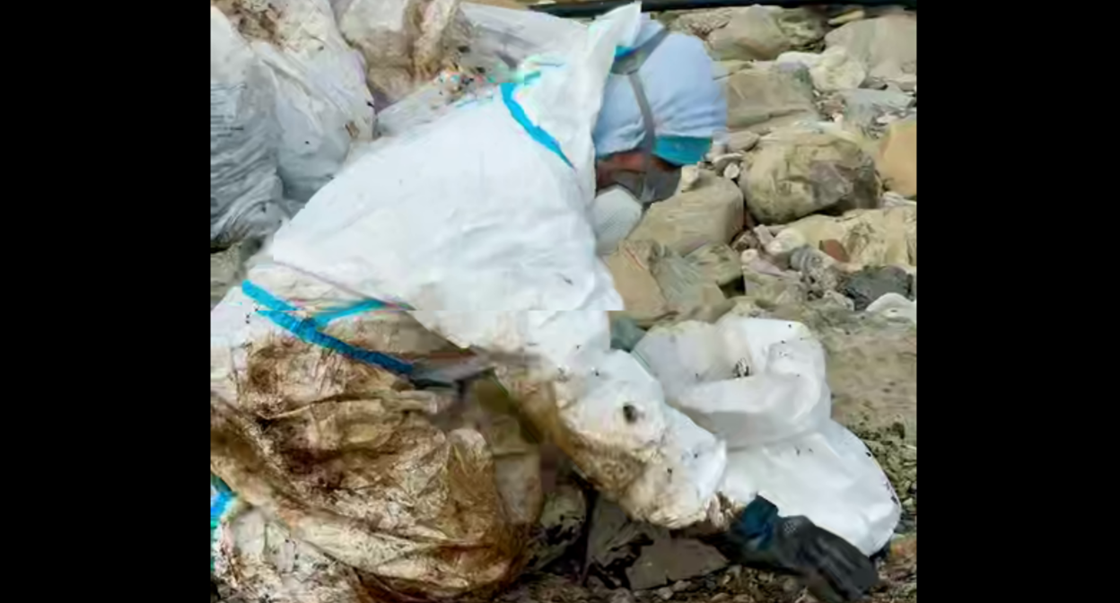 Волонтер убирает пляж в поселке Тюменский. Стоп-кадр видео https://t.me/my_tuapse/34989 от 02.05.26. Волонтер убирает пляж в поселке Тюменский. Стоп-кадр видео https://t.me/my_tuapse/34989 от 02.05.26.
