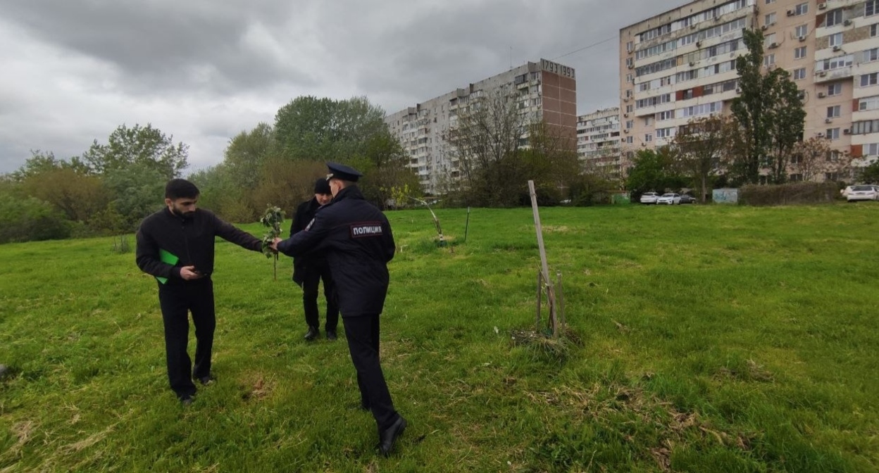 Полицейские принимают заявление об уничтожении зелёных насаждений в Юбилейном микрорайоне. Краснодар, 2 мая 2026 года. Фото из телеграм-канала "Краснодар ЮМР" https://t.me/KrasnodarUMR/25034 Полицейские принимают заявление об уничтожении зелёных насаждений в Юбилейном микрорайоне. Краснодар, 2 мая 2026 года. Фото из телеграм-канала "Краснодар ЮМР" https://t.me/KrasnodarUMR/25034