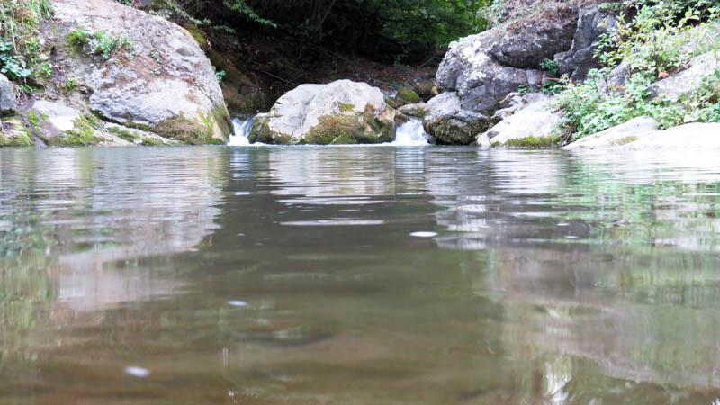 Отражение в воде.